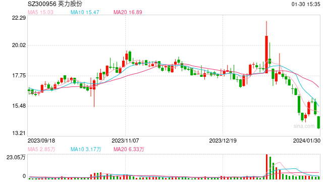 賭馬：英力股份追“光”一年多 光伏組件業務現謎團