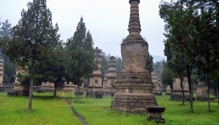 {賭馬}(少林寺旅游路线)