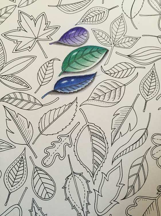 {ONEBETS娛樂}(秘密花园动漫未删减版百度网盘下载)