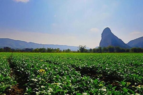 {21點}(农业观光旅游项目)