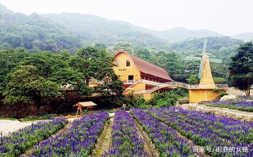 {線上賭場}(增城旅游景点大全排名)